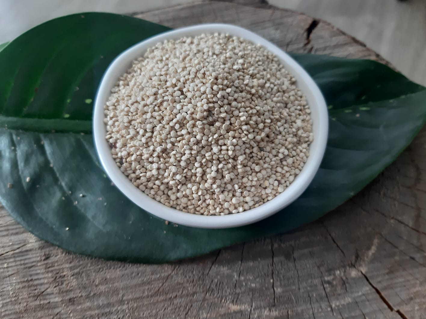 Quinoa Blanca en Pepa - Image 3