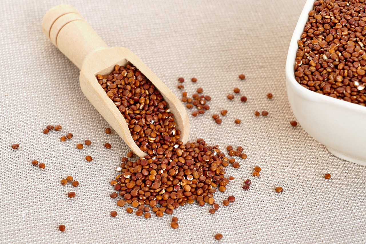 Quinoa Roja en Pepa - Image 3