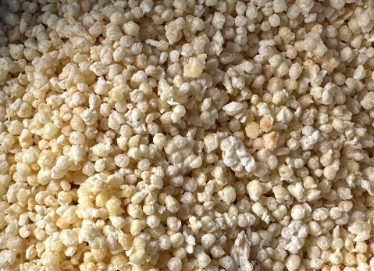 Quinoa Pop Vainilla